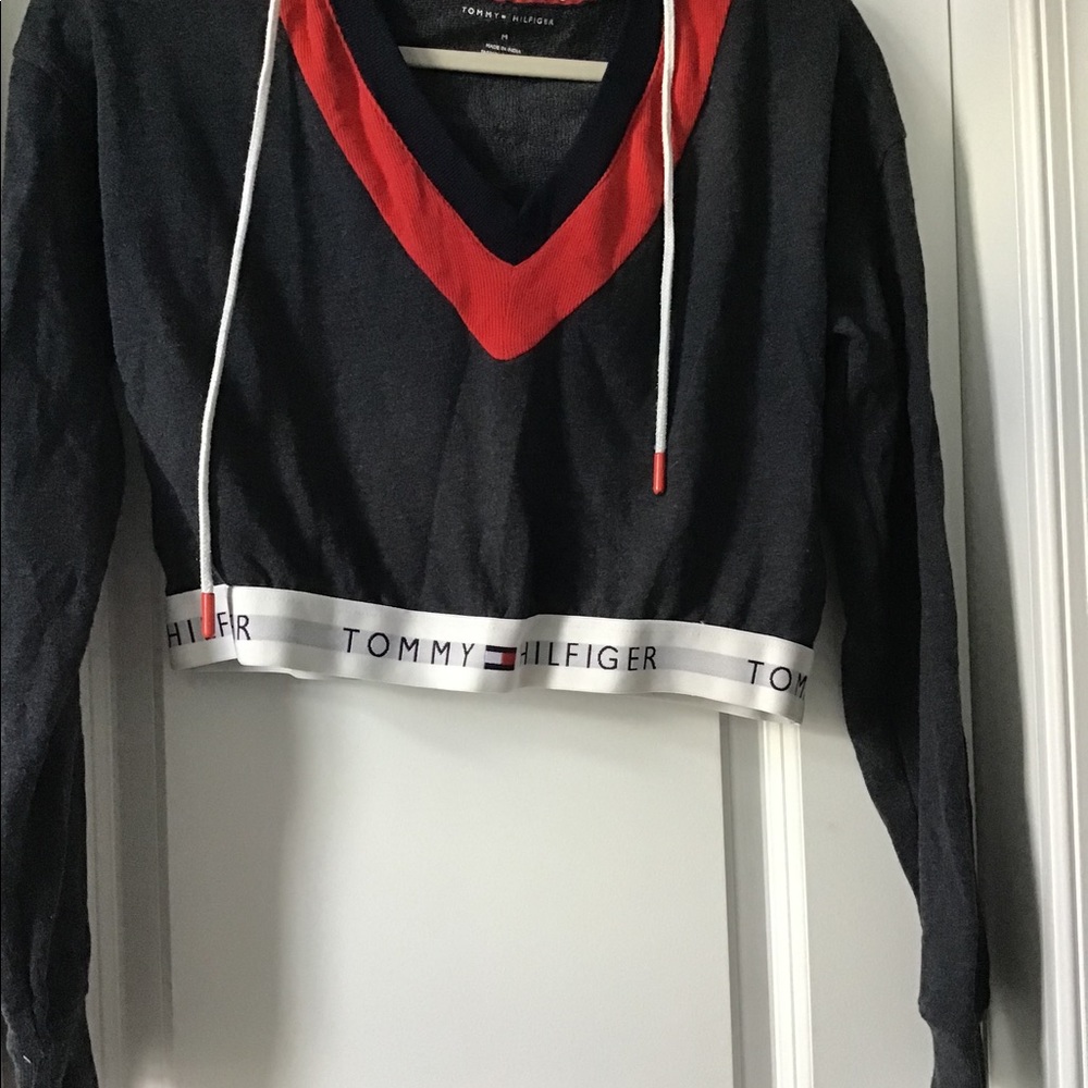Tommy hilfiger X urban outfitters croppedhoodie